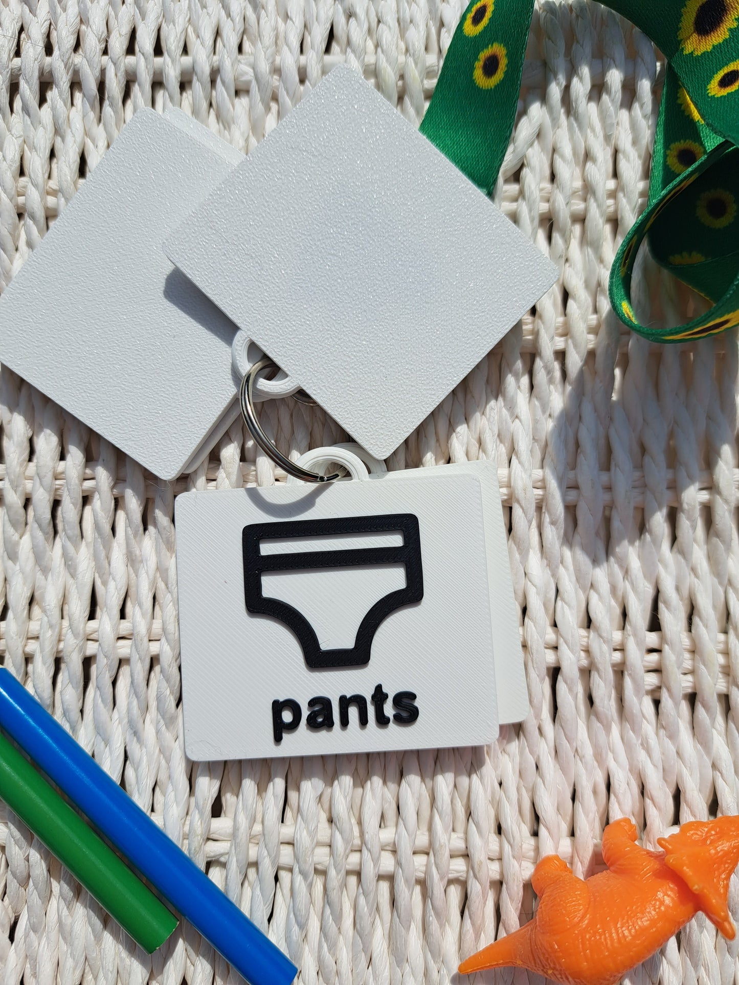 Toilet Training Visual Tags | Visual Communication Support for Autism, ADHD & SEN