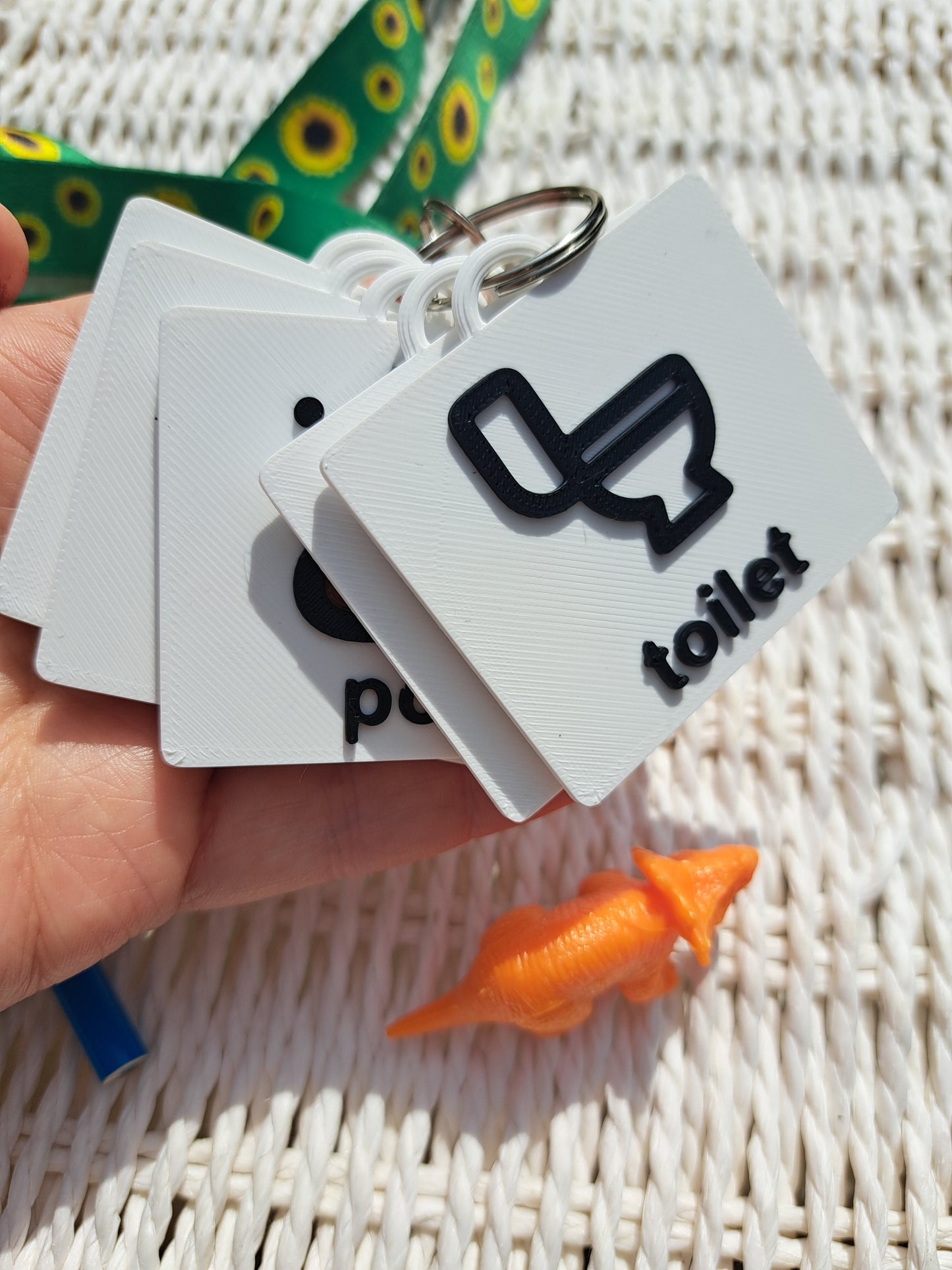 Toilet Training Visual Tags | Visual Communication Support for Autism, ADHD & SEN