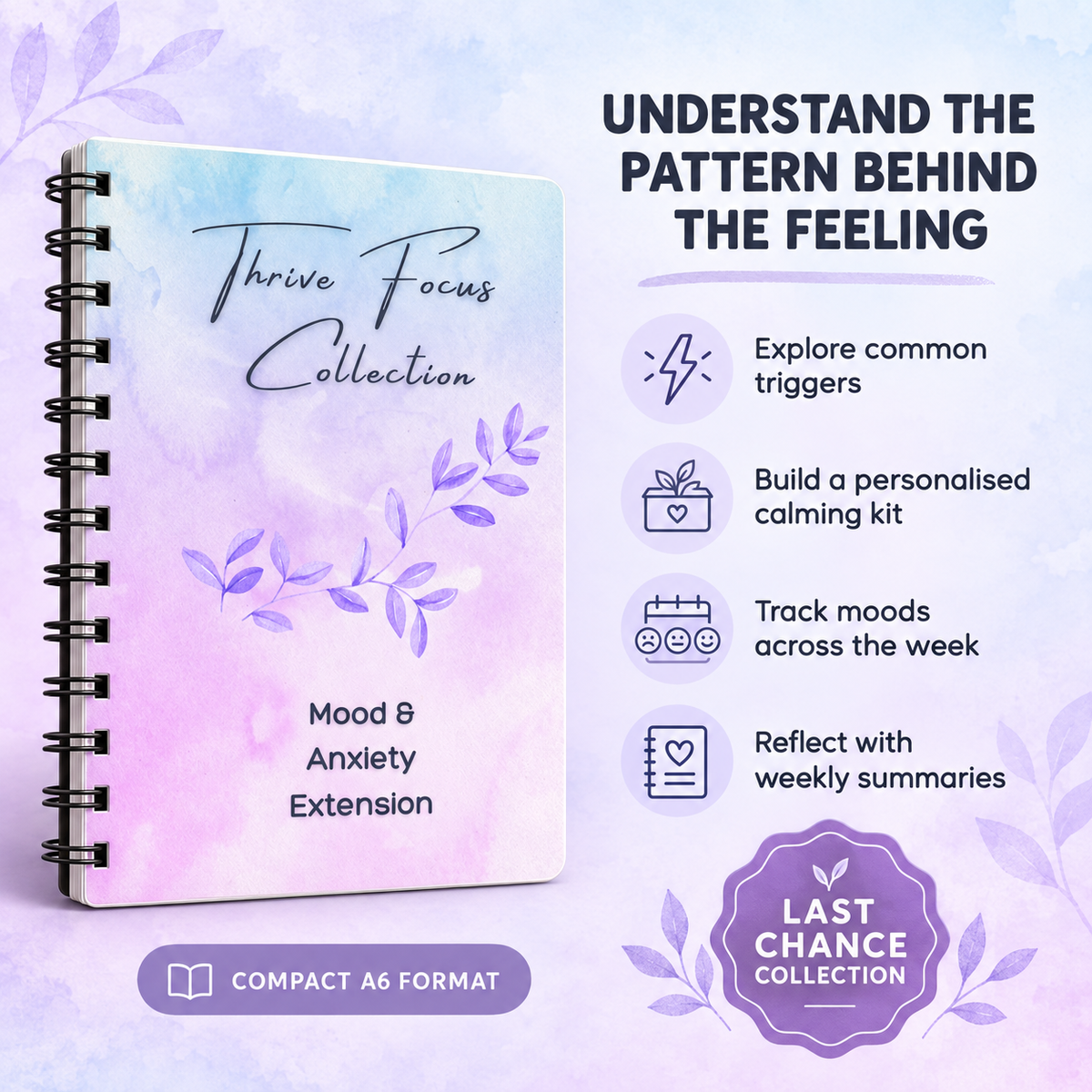 Mood & Anxiety Extension | Thrive Focus Collection