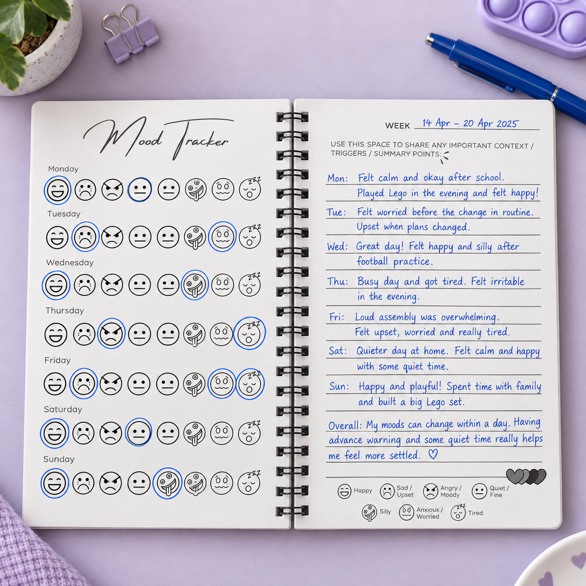 Mood & Anxiety Extension | Thrive Focus Collection