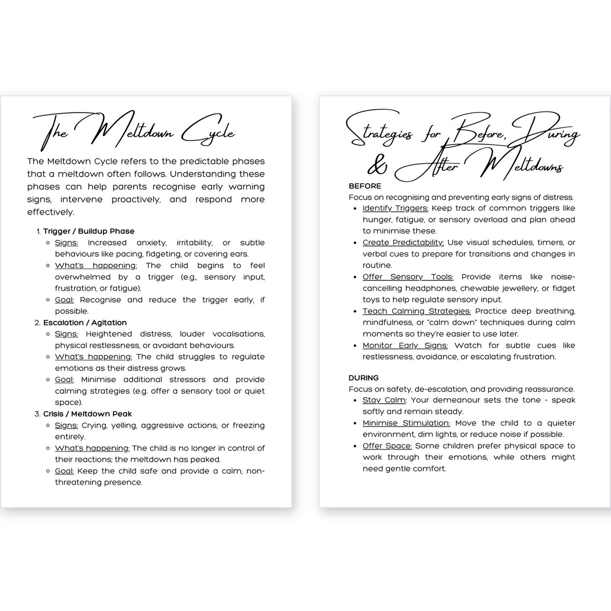Meltdown Tracker | Printable Meltdown Log & Guide for SEN Parents | A4 Digital Download
