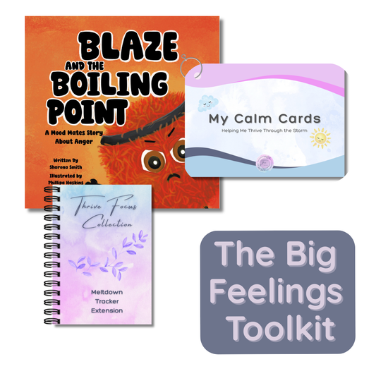 The Big Feelings Toolkit | Meltdown & Emotional Regulation Support